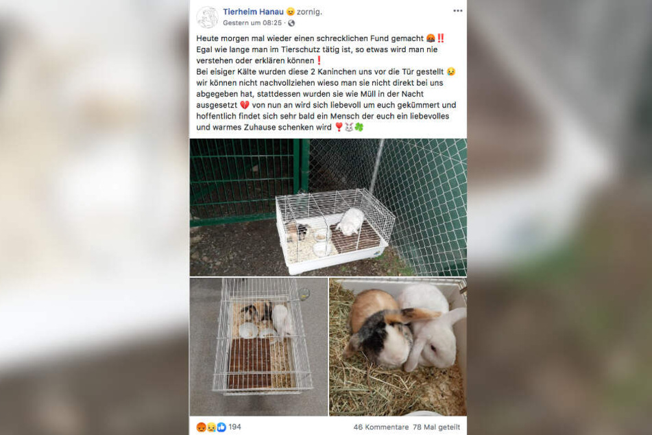 Die Mitarbeiter zeigten sich auf Facebook entsetzt.