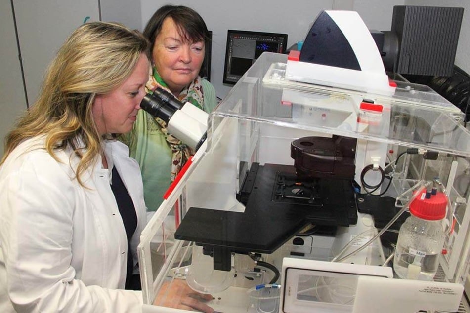 Sylvia Renz (l.) und Tamara Grummt untersuchen im Umweltbundesamt in Bad Elster die Auswirkungen von Mikroplastik am Mikroskop.