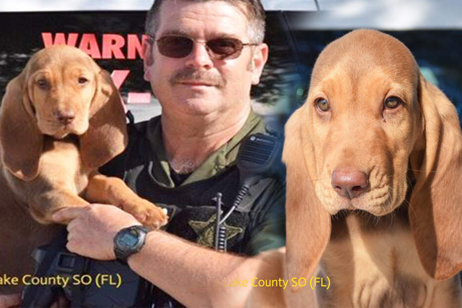 Der Polizeihund hat nun einen neuen Namen.