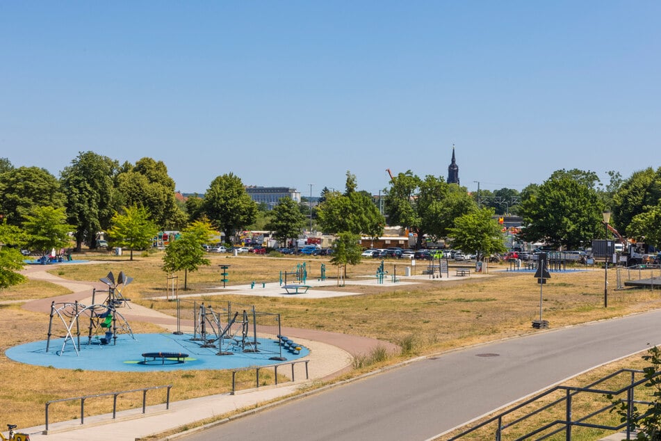 Die neue Anlage ist am Rudolf-Harbig-Weg am Heinz-Steyer-Stadion in der Friedrichstadt.