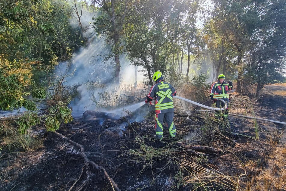 Durch die eingeschränkte Wasserversorgung an der Autobahn wurden mehrere Feuerwehren mit Löschfahrzeugen angefordert.