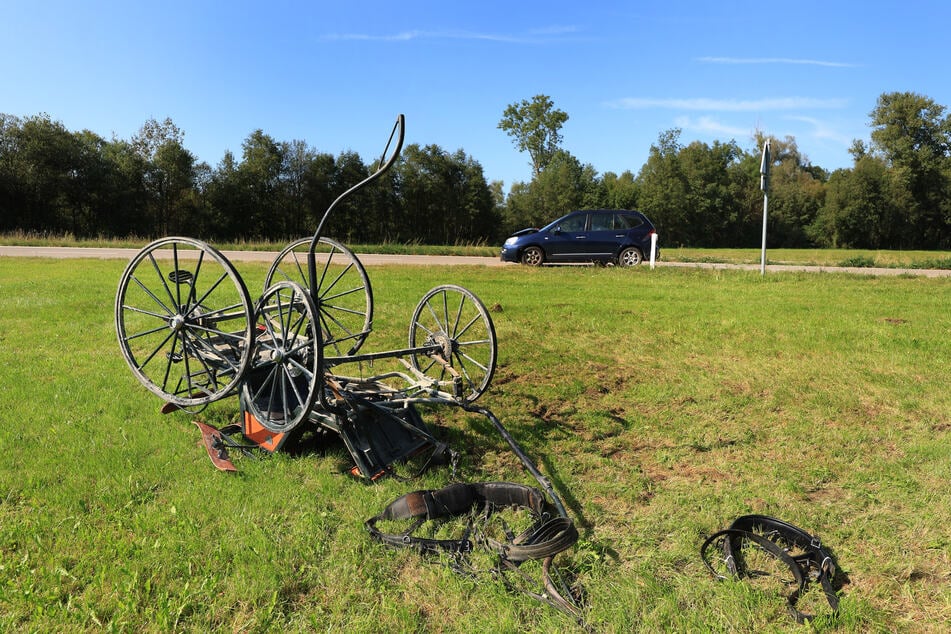 Von den vier Kutschen-Insassen wurden drei beim Unfall schwer verletzt.