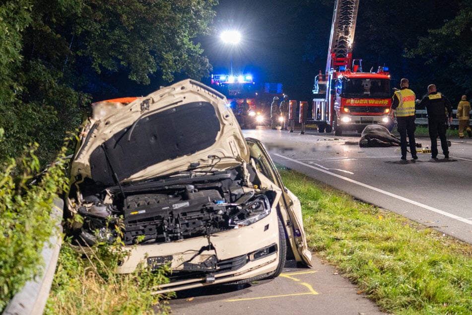 Das Taxi war mit den beiden Pferden zusammengestoßen. Der Fahrer sowie die beiden Tiere überlebten den Unfall nicht.