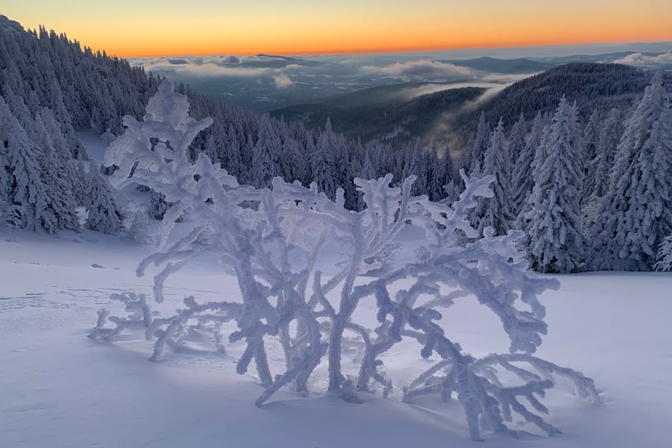 Die Magie des Winters: Blick vom höchsten Berg des Bayerischen Waldes, dem Großen Arber, über das Waldmeer.