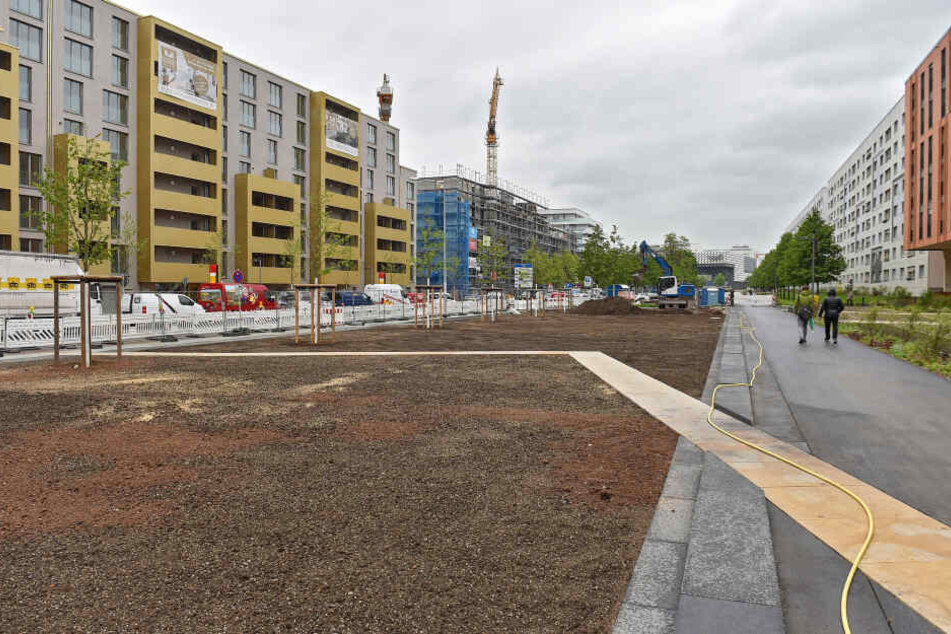 Der Promenadenring in der Innenstadt wächst. Allerdings fallen bei weiteren Bauabschnitten auch Parkplätze weg.