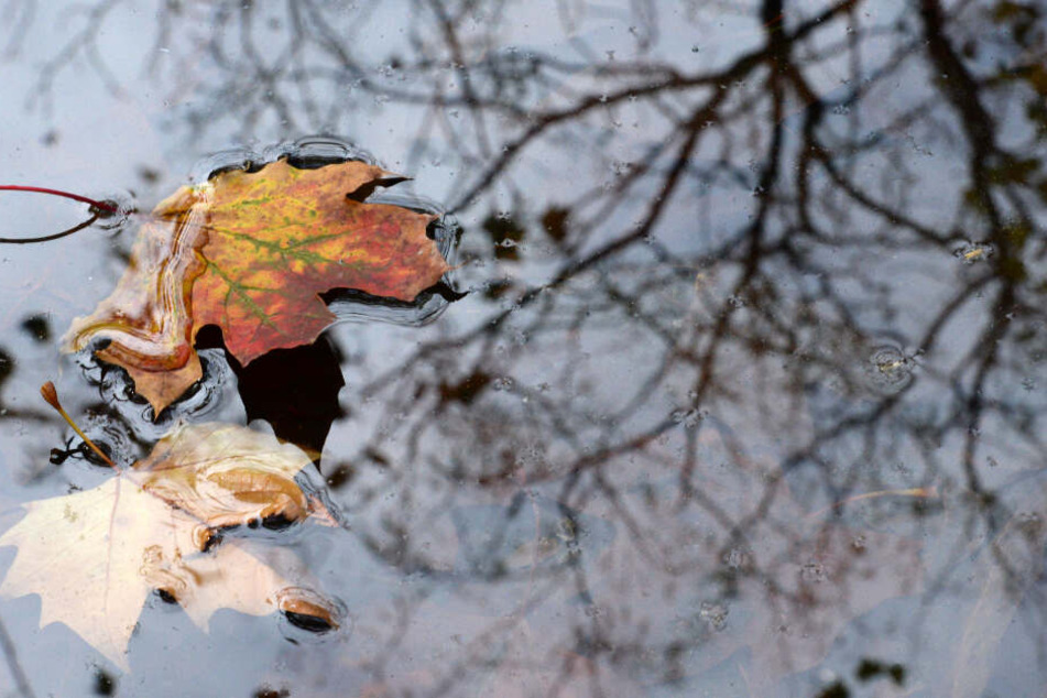 Es wird herbstlich im Ländle. (Symbolbild)