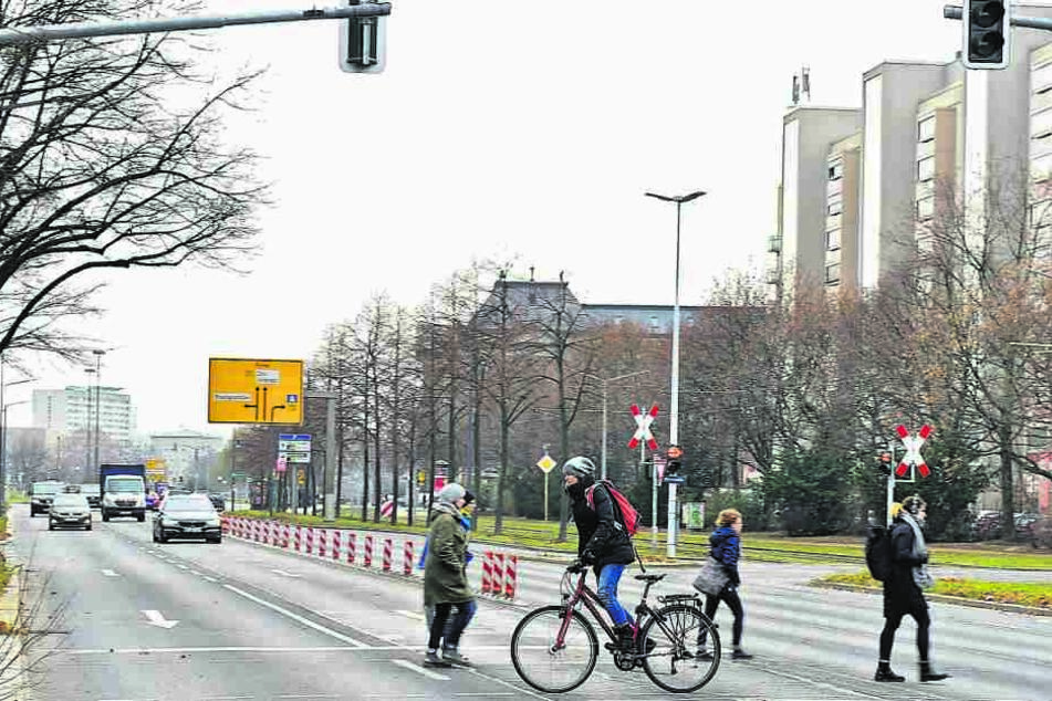 Eine Spur der Albertstraße sollte nach den Vorstellungen von Baubürgermeister Raoul Schmidt-Lamontain (42, Grüne) in eine Radspur umgewandelt werden.