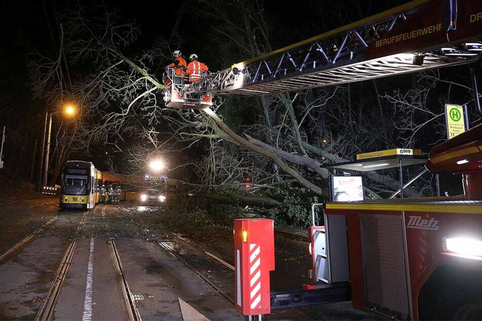 Die Feuerwehr im Einsatz.