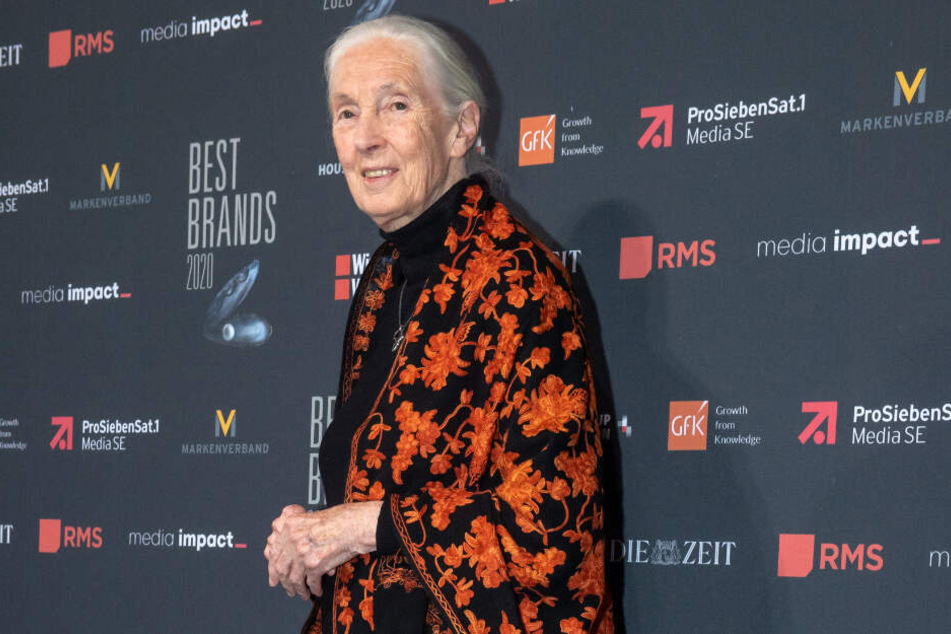 Jane Goodall, Primatenforscherin aus Großbritannien, nimmt an der Gala "Best Brands" teil.