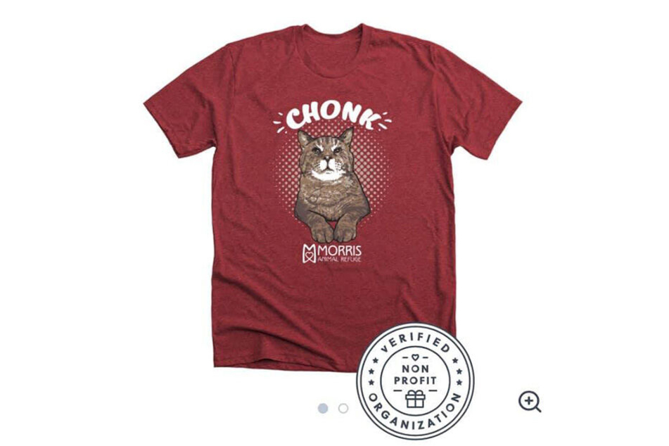 Natürlich hat Mr. B mittlerweile seine eigene T-Shirt-Kollektion. Der Kater ist ein Profi, wenn es um seine Vermarktung geht...