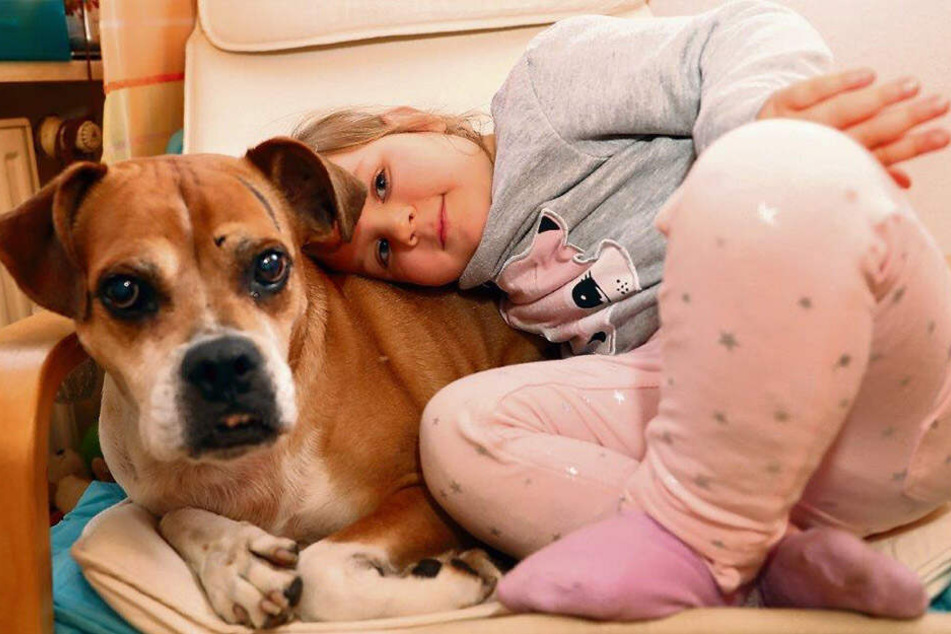 Sie ist die liebste Freundin auf vier Beinen: Seit drei Jahren wohnt Mischlingshündin Lady (11) bei der Mini-Familie - ein spanischer Straßenhund.