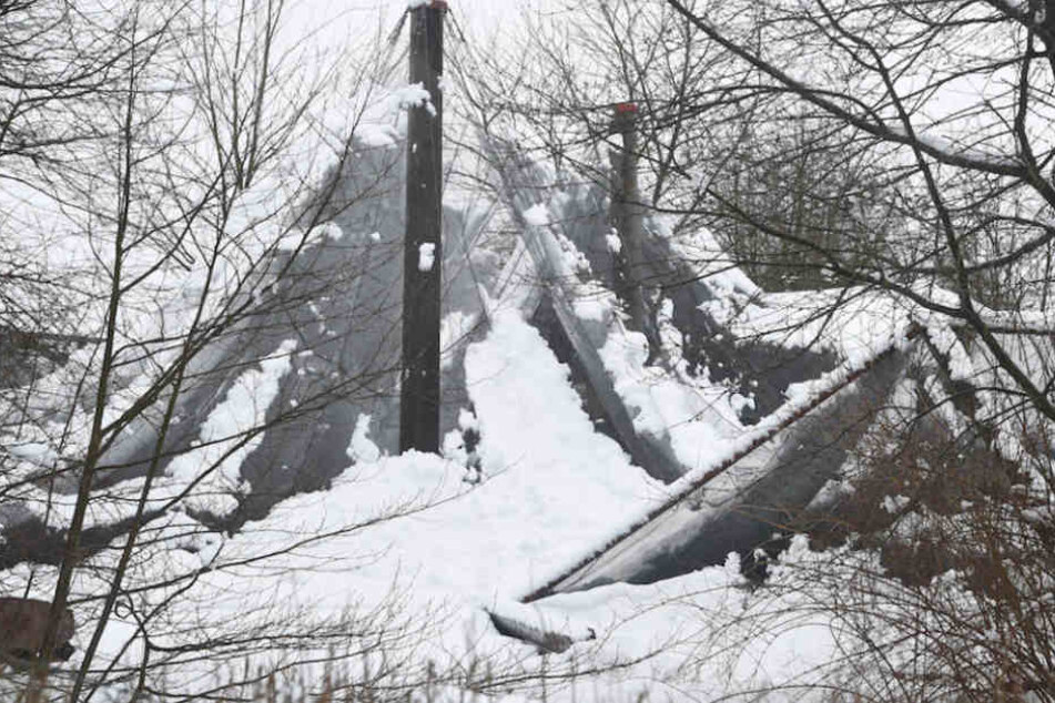 Die Netze der Volieren konnten den matschigen Schneemassen im Vogelpark Marlow nicht standhalten.