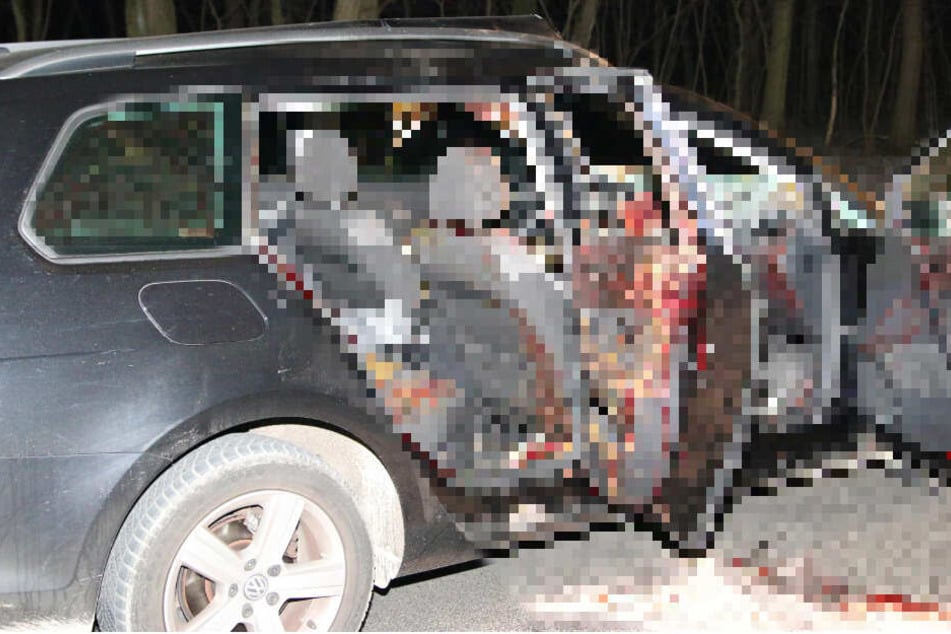 Horror-Wildunfall: Reh durchschlägt Frontscheibe und verletzt Fahrer schwer