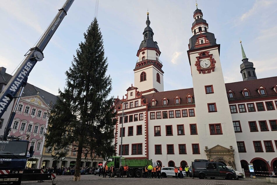 Um 16.22 Uhr stand der Weihnachtsbaum.