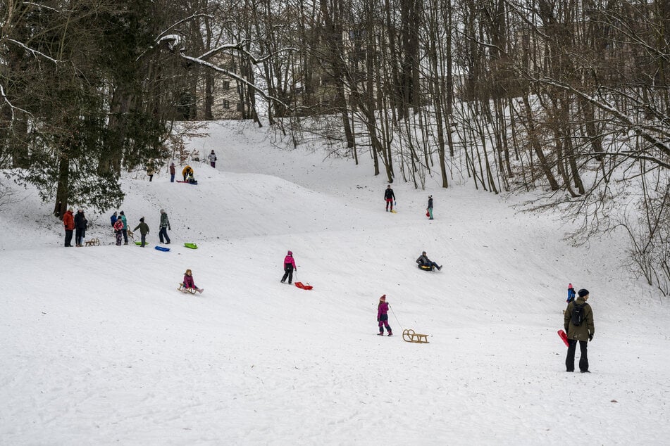 Der Stadtpark zieht viele Rodler an.