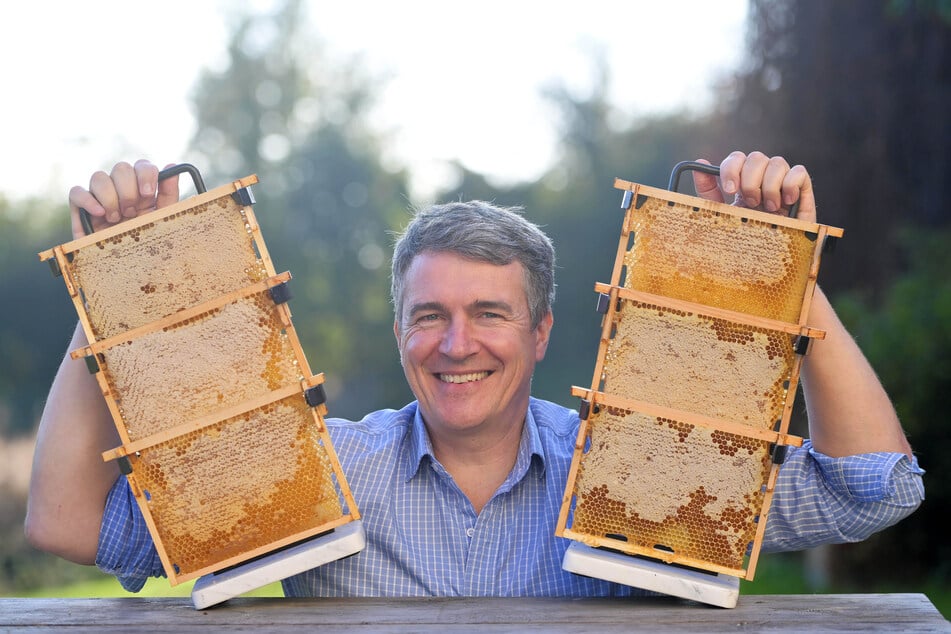 Hat alle Hände voll zu tun: Imker Rico Heinzig (49) kümmert sich nicht nur um Honig und Bienen, sondern setzte sich auch gegen Angriffe aus dem Fernsehen zur Wehr.