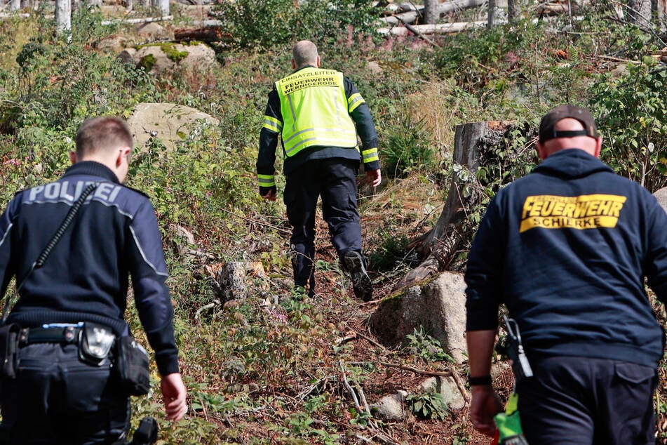 Waldbrand am Brocken unter Kontrolle? Kleine Feuer wieder entfacht!