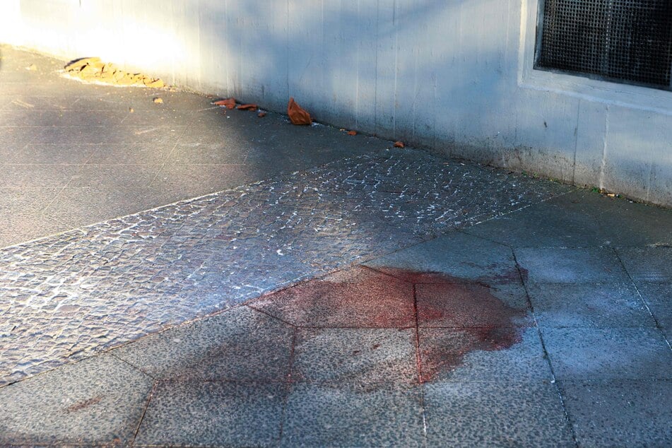 Berlin: Todes-Drama am Ostermontag in Berlin: Mann von herabstürzenden Blumenkübel erschlagen