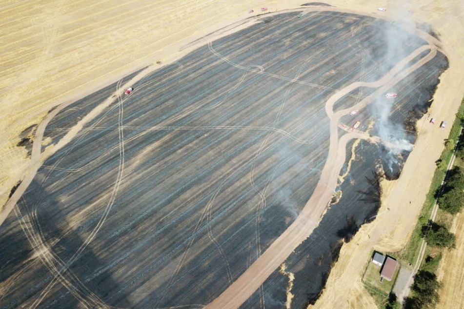 10 Hektar brannten auf dem Feld ab.