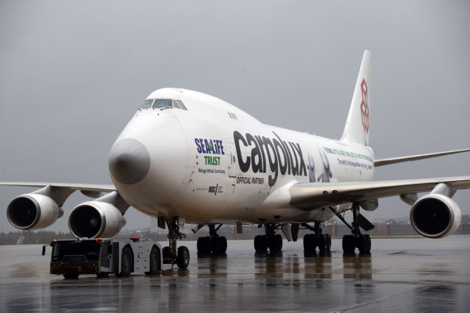 Mit einer Boeing 747 der luxemburgischen Frachtfluggesellschaft Cargolux sollen Mitte April 2019 zwei junge Beluga-Wale für die Organisation Sea Life Trust von China nach Island transportiert werden.