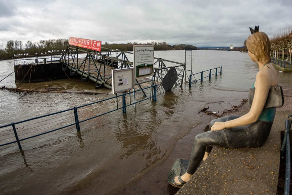 Das Bild zeigt das überflutete Rheinufer in Wiesbaden-Biebrich am Mittwochnachmittag.
