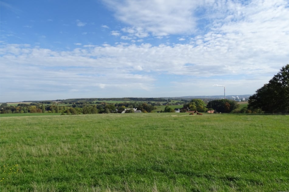 Blick vom potenziellen Landschaftsschutzgebiet "Chemnitzaue, Draisdorfer Feldflur, Schützwald und Umgebung" auf Chemnitz.