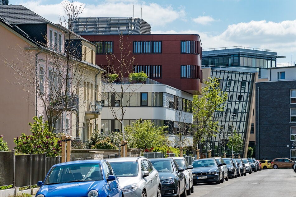 24 klimafeste Lederhülsenbäume wurden bereits an der Wielandstraße gepflanzt.