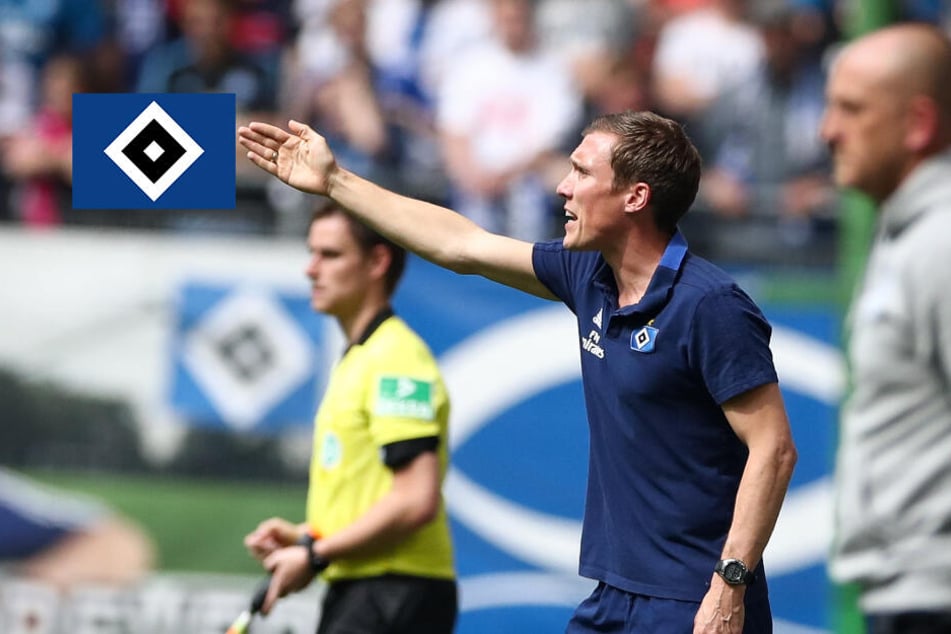 Hannes Wolf Gehalt Hannes Wolf Gehalt