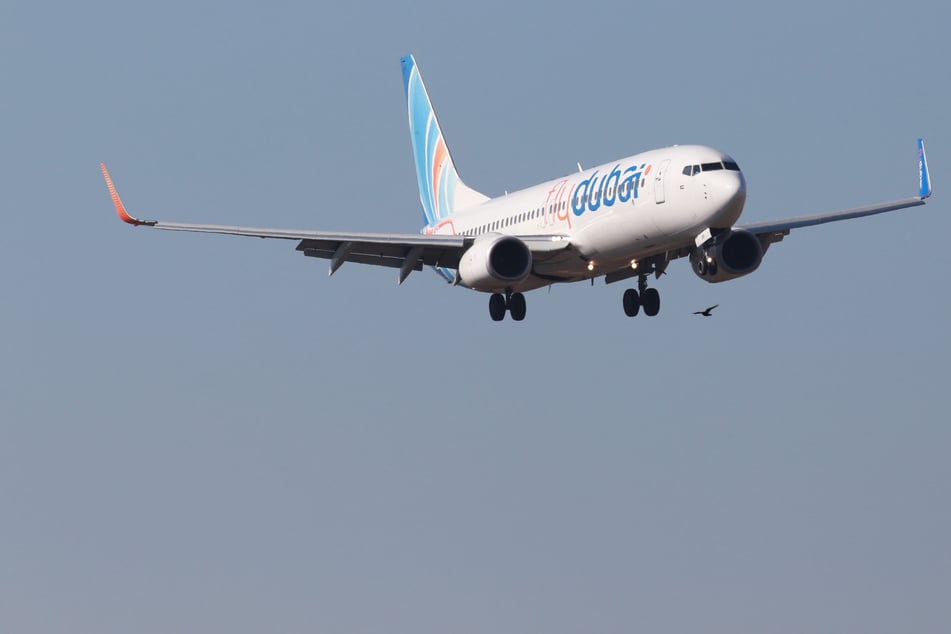 Kampfjets unterwegs! Flugzeug sendet Notfallsignal