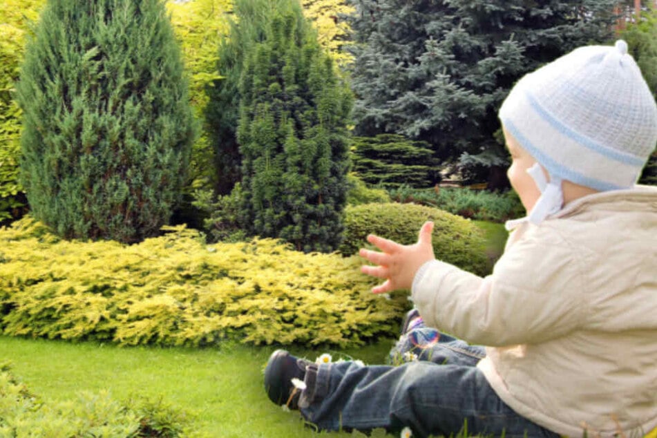 Das kleine Mädchen der Familie spielte im Garten. (Symbolbild)