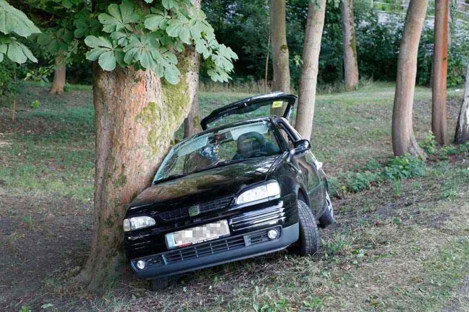 Aus dieser Perspektive sieht man, der Seat wurde seitlich an den Baum geschleudert.