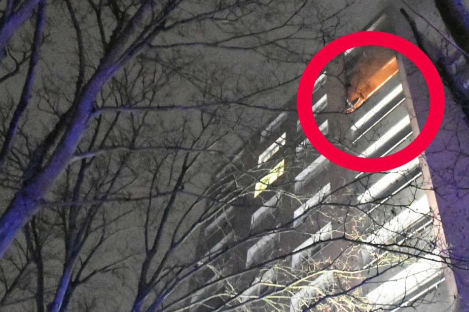 Der rote Kreis markiert den brennenden Balkon.