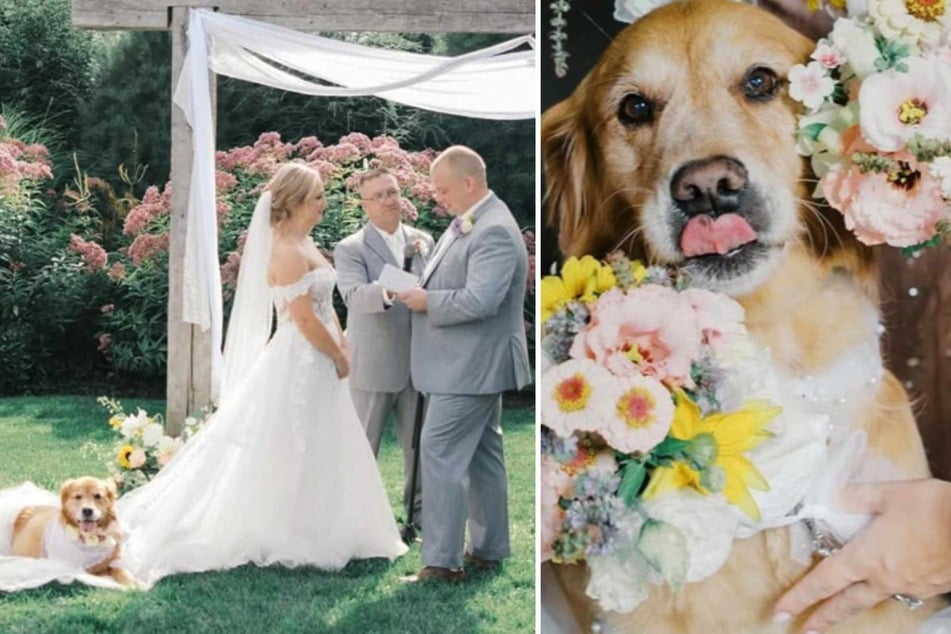 Dying dog takes center stage at her parents' wedding ceremony