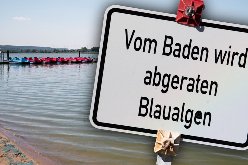 Blaualgen-Alarm: Hier ist Schwimmen verboten