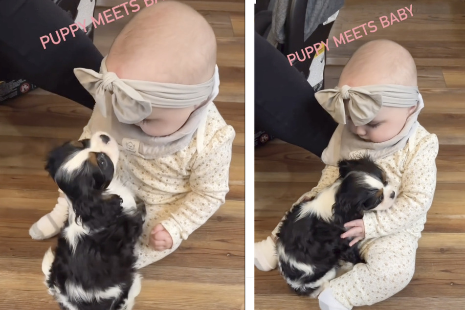 This baby and puppy are going to be best friends, and their connection has the internet swooning.