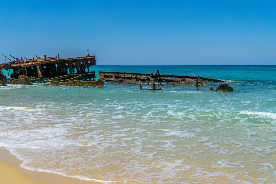 Piper (†19) wurde in der Nähe des Maheno-Schiffswracks gefunden. (Symbolbild)
