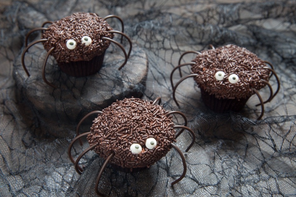 Wer traut sich, die gruseligen Spinnen-Muffins zu essen?