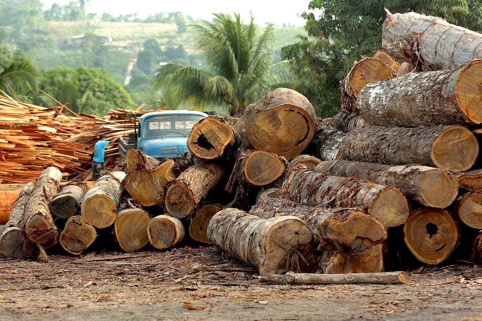 Eine Holzfabrik in Brasilien (undatiertes Foto).
