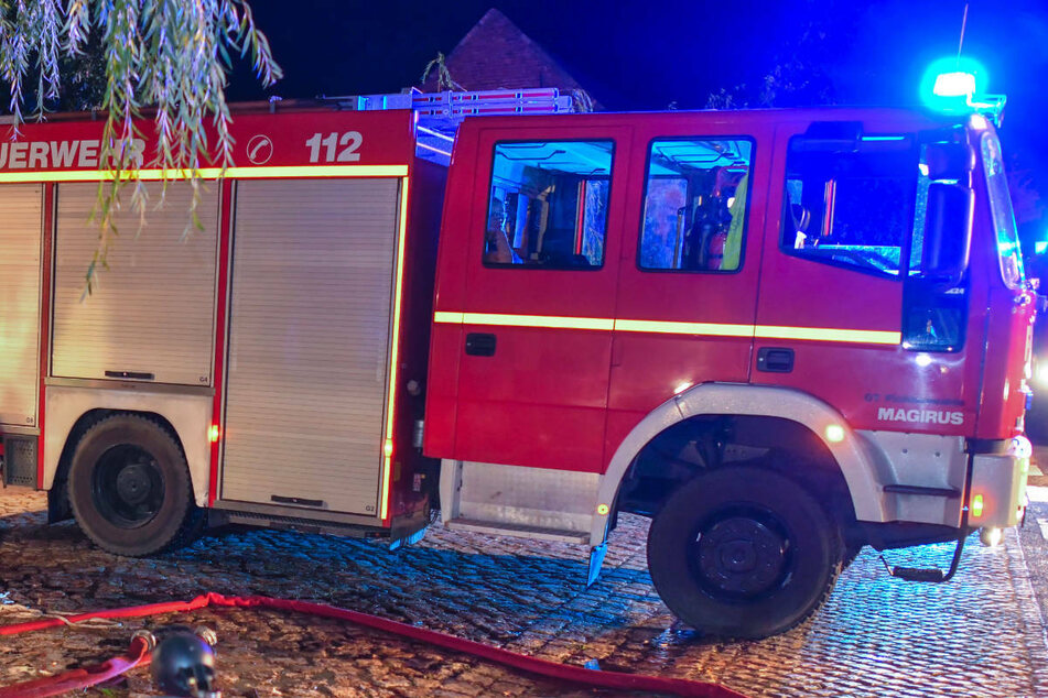 Am Sonntagabend sind bei einem Brand in einem Bungalow und zwei Ställen auf einem Gartengrundstück in Brandenburg/Havel mehrere Kleintiere getötet worden. (Symbolfoto)