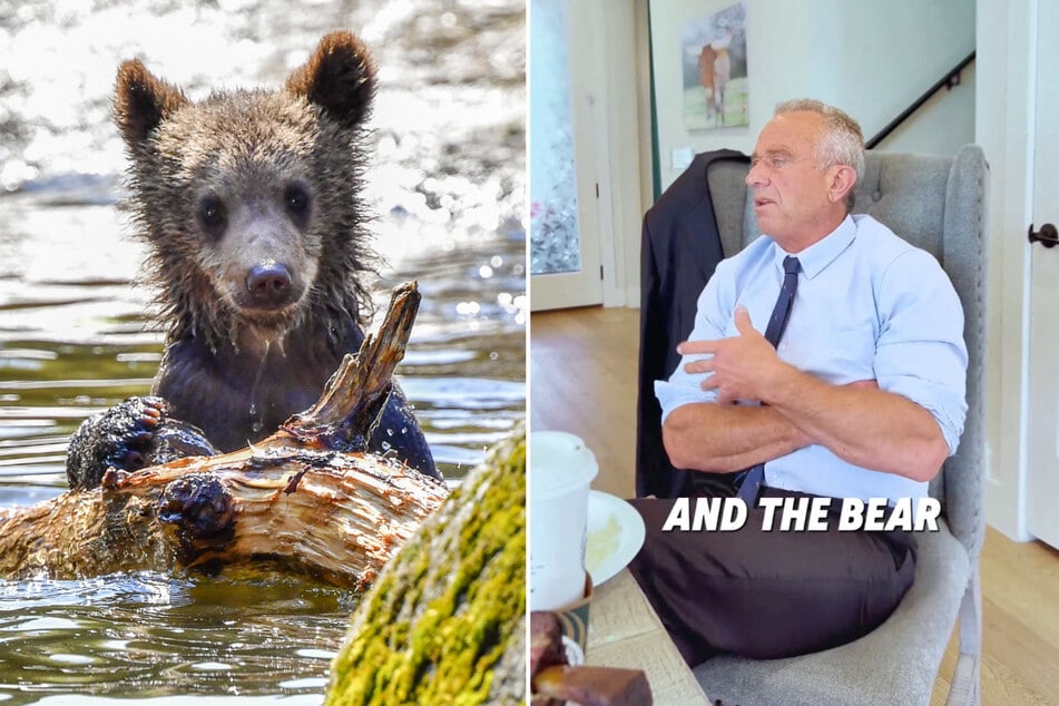 RFK Jr. makes shocking confession that finally solves Central Park's dead bear cub mystery