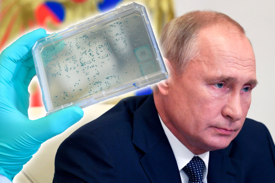 Überraschung von Putin: Russland lässt Impfstoff gegen Coronavirus zu