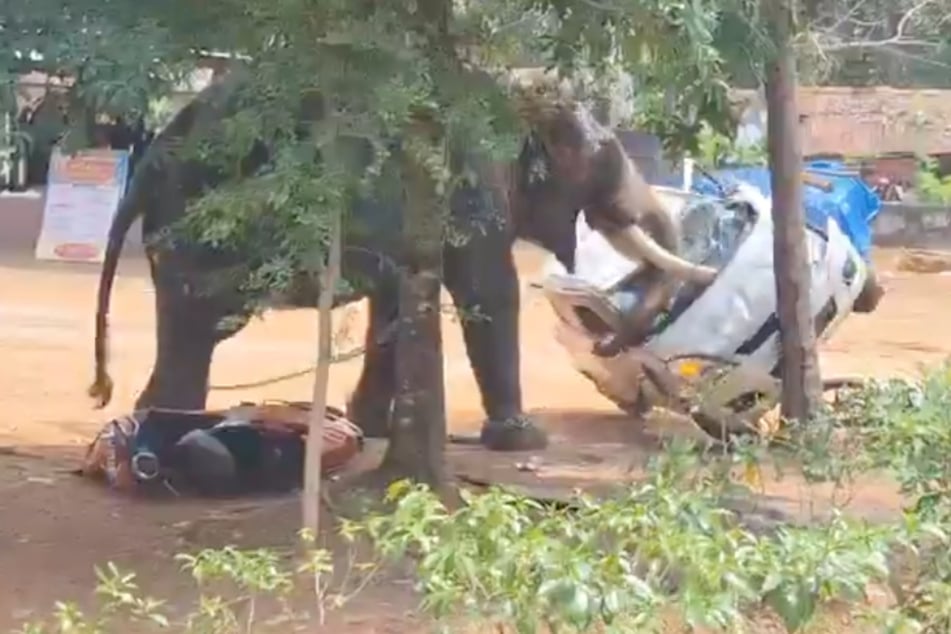 Ein Elefant rastete bei einem Fest in einem Tempel in Indien völlig aus und richtete Chaos an.