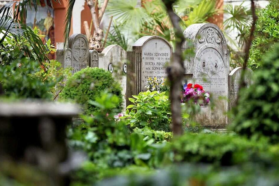 Symbolbild Grabsteine auf einem Friedhof.