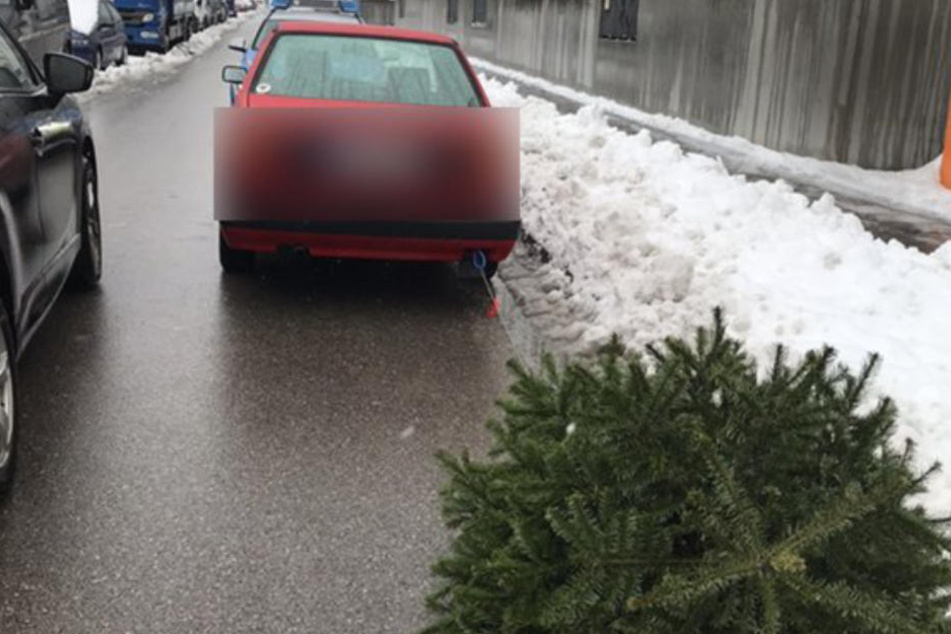 Der Fahrer hatte den Christbaum an sein Auto gebunden.