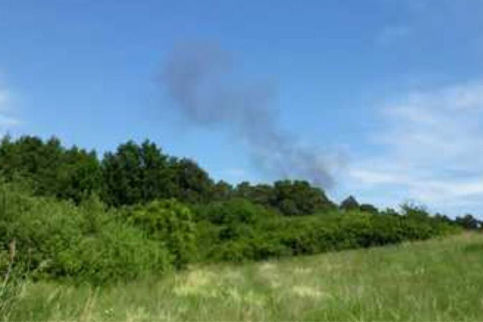Eine Rauchwolke steigt hinter einem Waldstück auf.