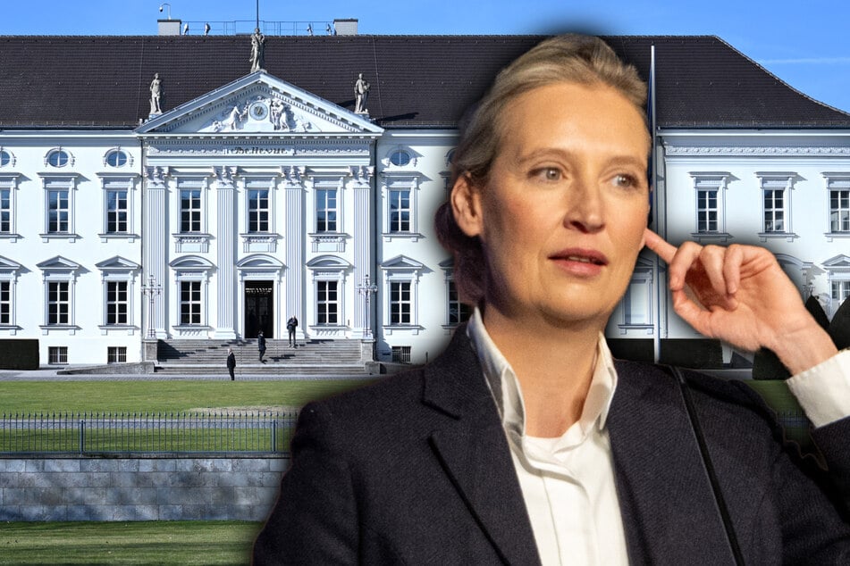 Nächster Bundespräsident gesucht: Wen schickt die AfD ins Rennen?