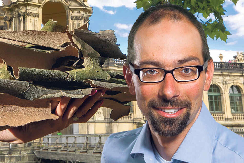 Sachsens BUND-Chef David Greve (43) erklärt den verstärkten Borken-Abwurf in diesem Jahr.