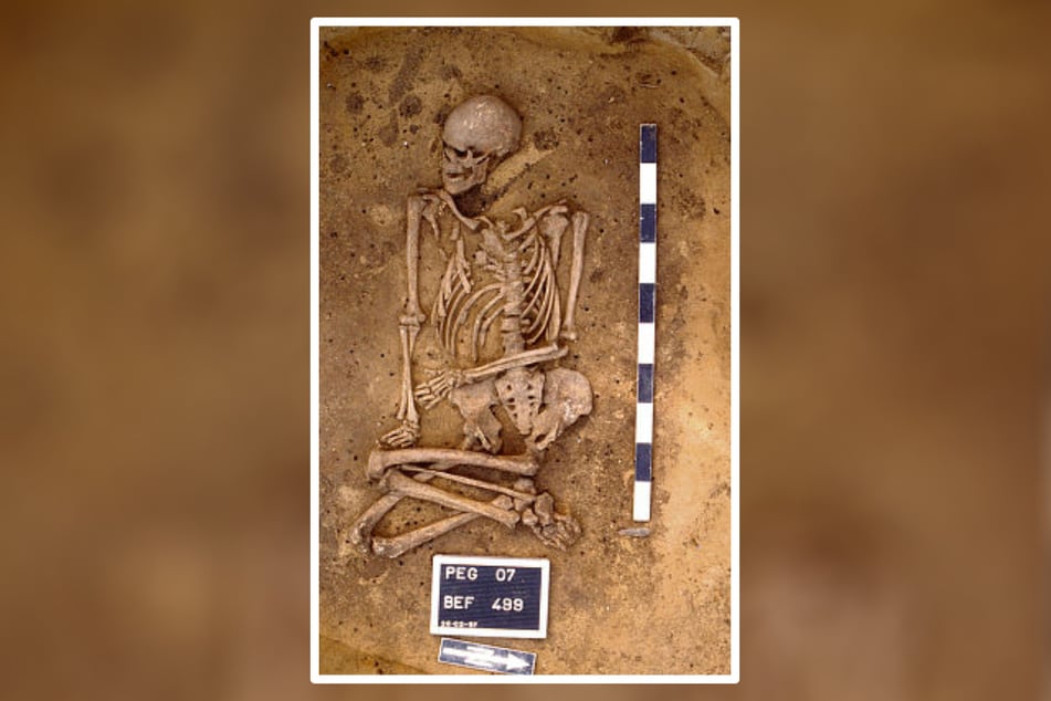 Dieses Skelett aus der Nähe von Leipzig führte den Forscher auf die Spur.