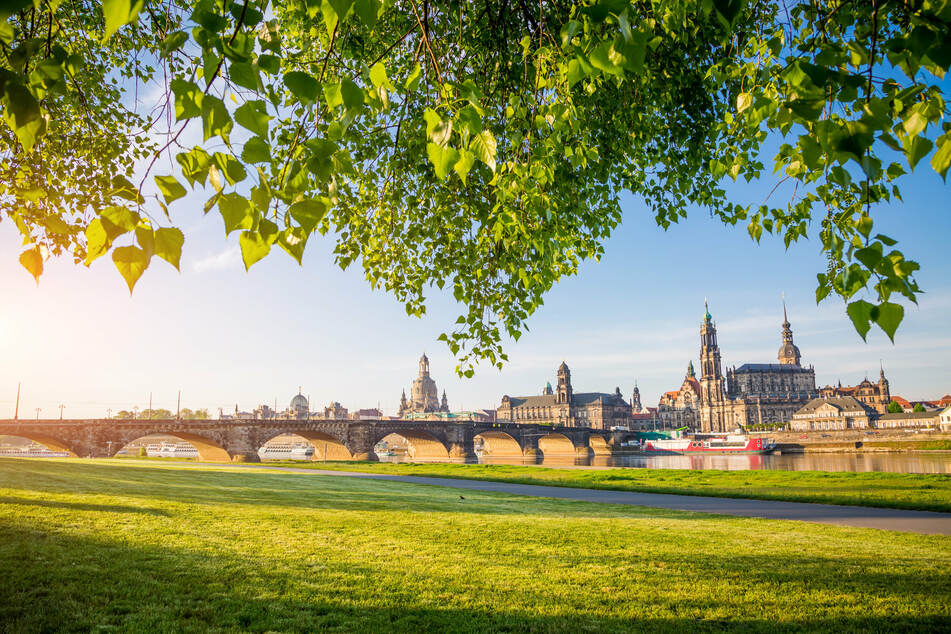 Dresden ist einer der grünsten Städte Europas. Dafür gab es im Ranking den dritten Platz.