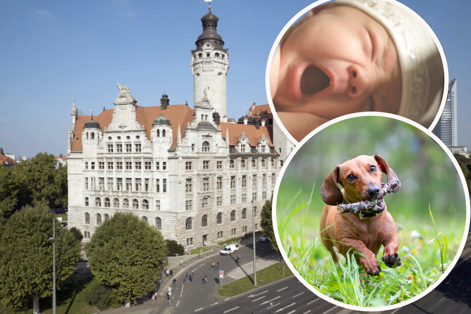 Leipzig: Viele Hunde, wenig Babys, Tourismus-Plus: So sieht Leipzig aktuell in Zahlen aus